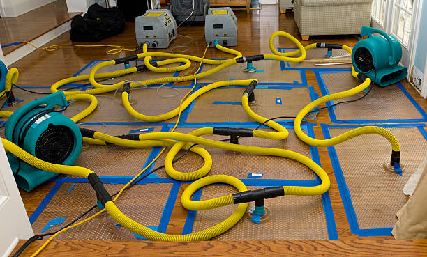 Professional Water Damage Repair technician working in Wilbraham, MA